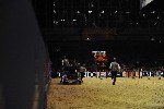 Extreme - 00824